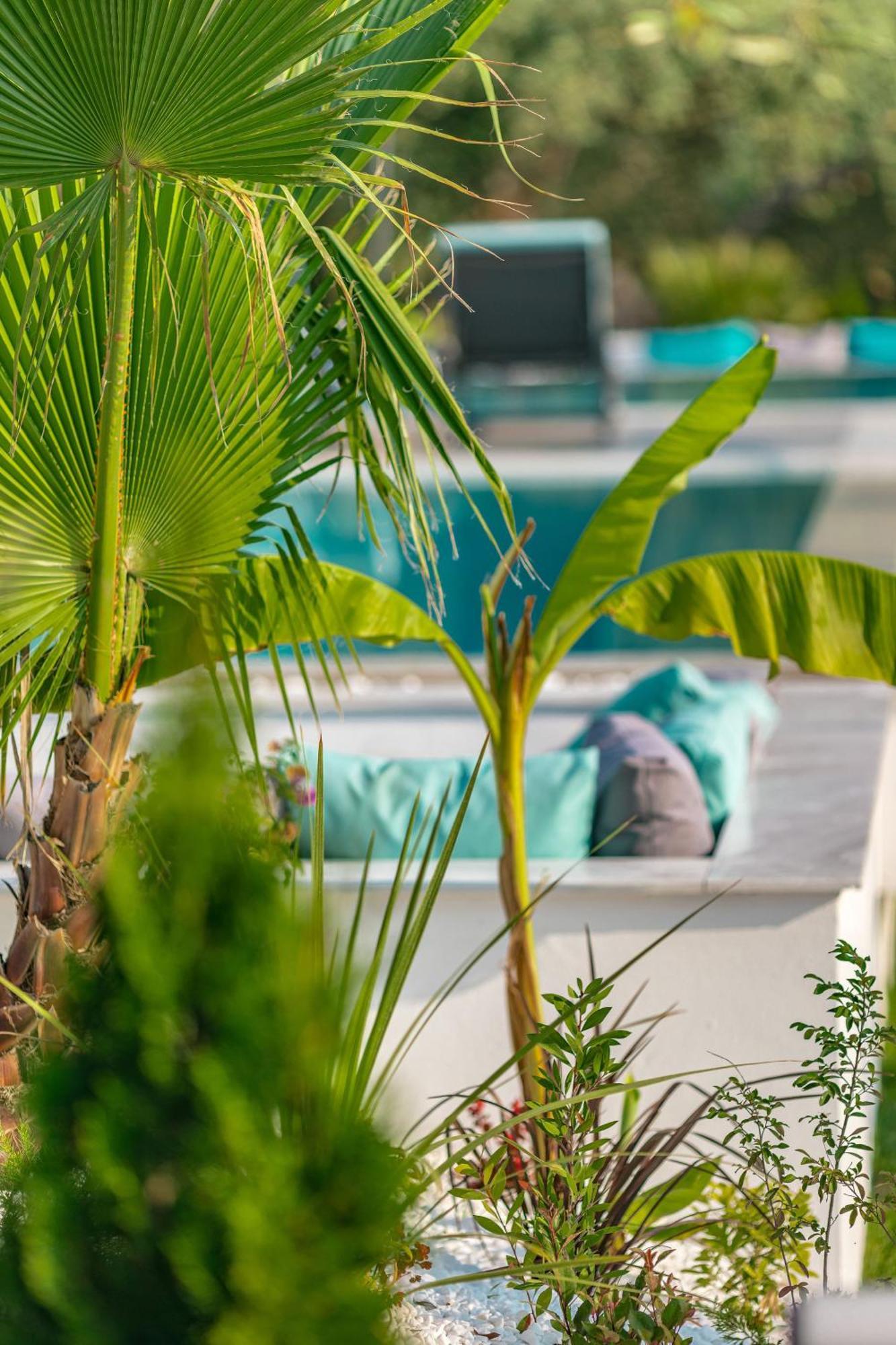 Nooa Villas Skala Rachoni  外观 照片