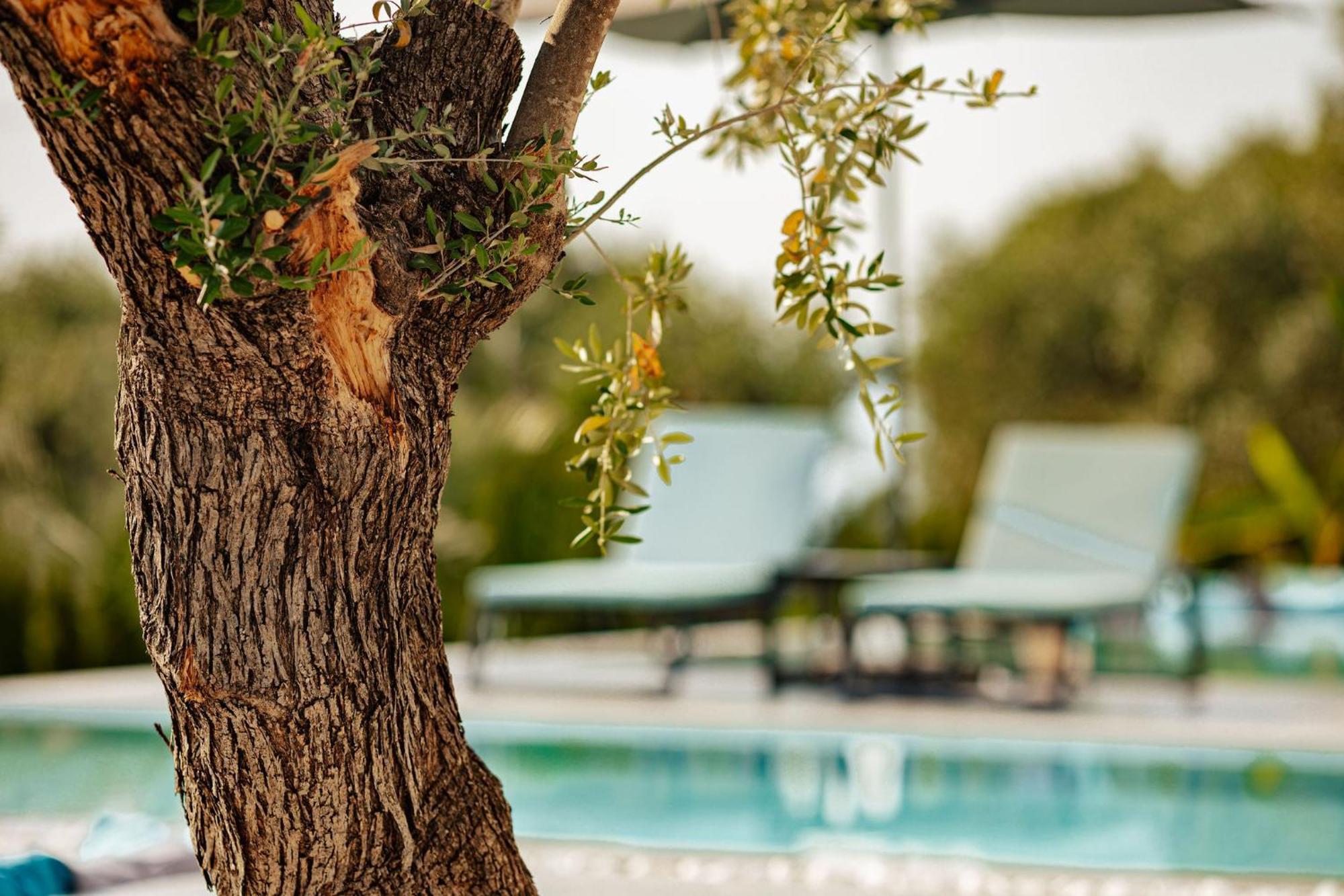 Nooa Villas Skala Rachoni  外观 照片